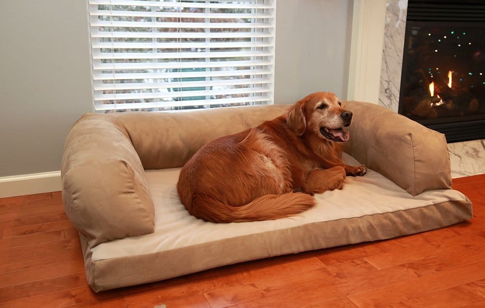 Review Beasley's Couch Dog Bed | Dogs Recommend