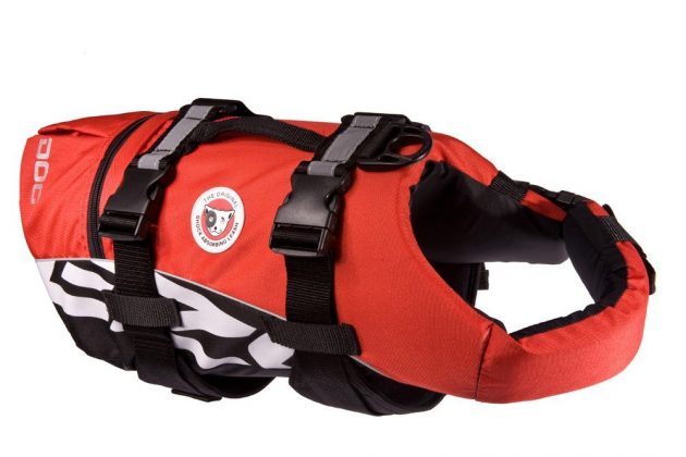 The 4 Best Dog Life Jackets in 2020 | Dogsrecommend