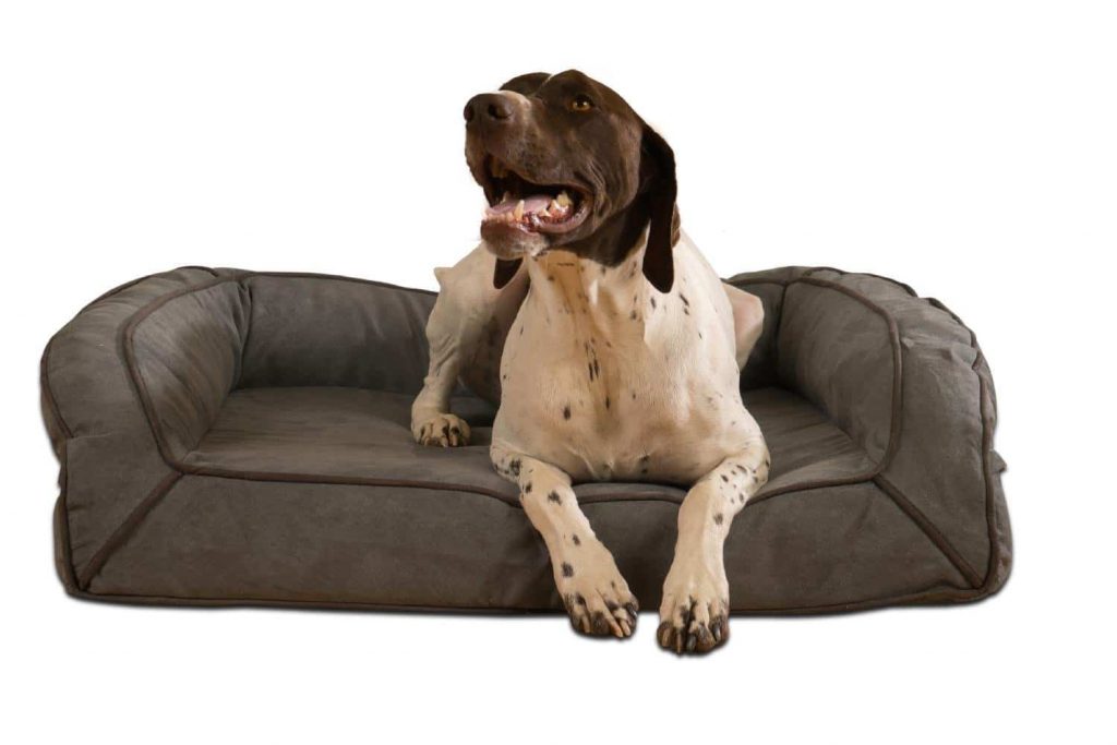 Luxury Dog Beds The Best Small & Large Beds For Dogs of 2020