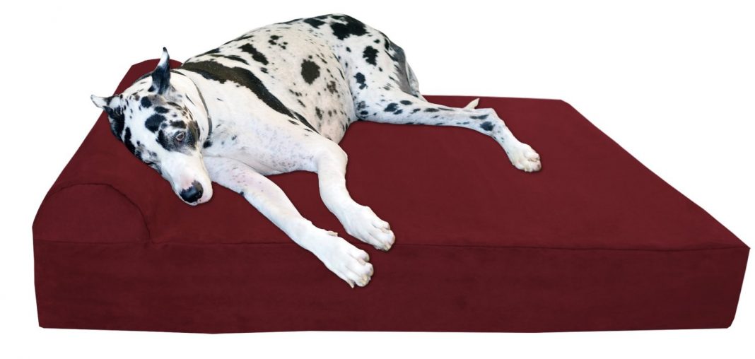 Luxury Dog Beds The Best Small & Large Beds For Dogs of 2020