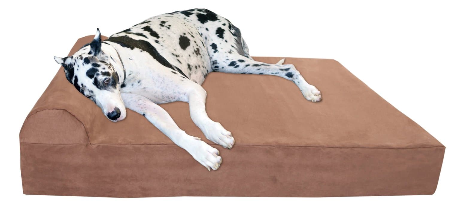 Large Dog Beds 2021 Ask Experts