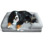 PetFusion Ultimate Dog Bed & Lounge. Premium Edition with Solid Memory Foam