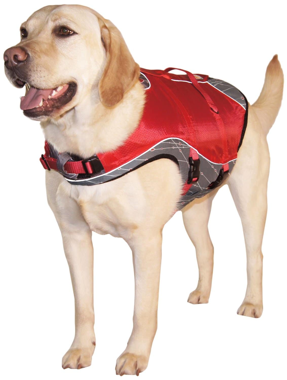 The 4 Best Dog Life Jackets in 2020