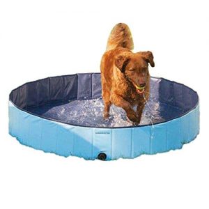 PetEdge Guardian Gear Splash About Dog Pool