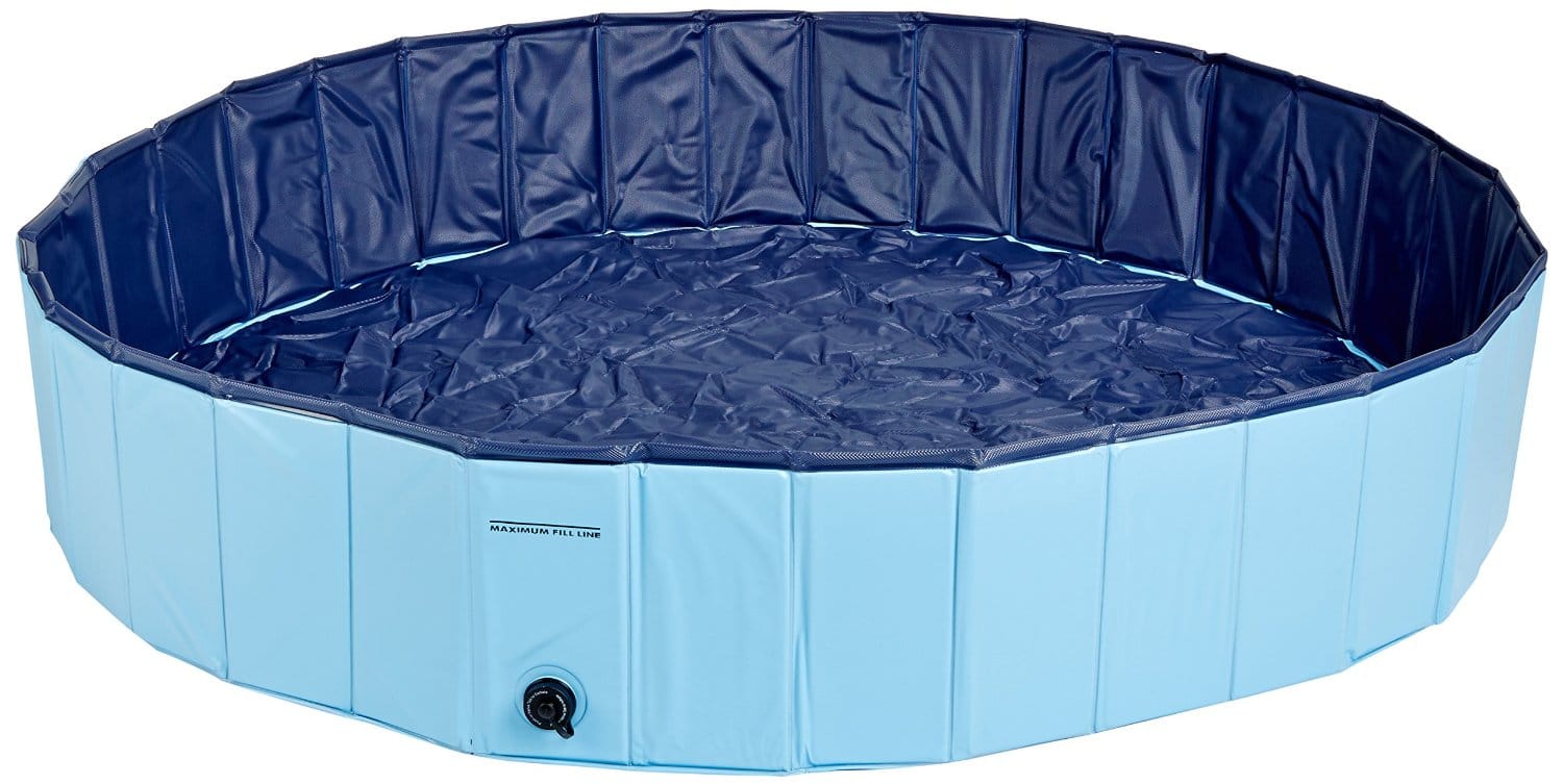 Best Swimming Pools For Dogs of 2021 Top 4 Choises