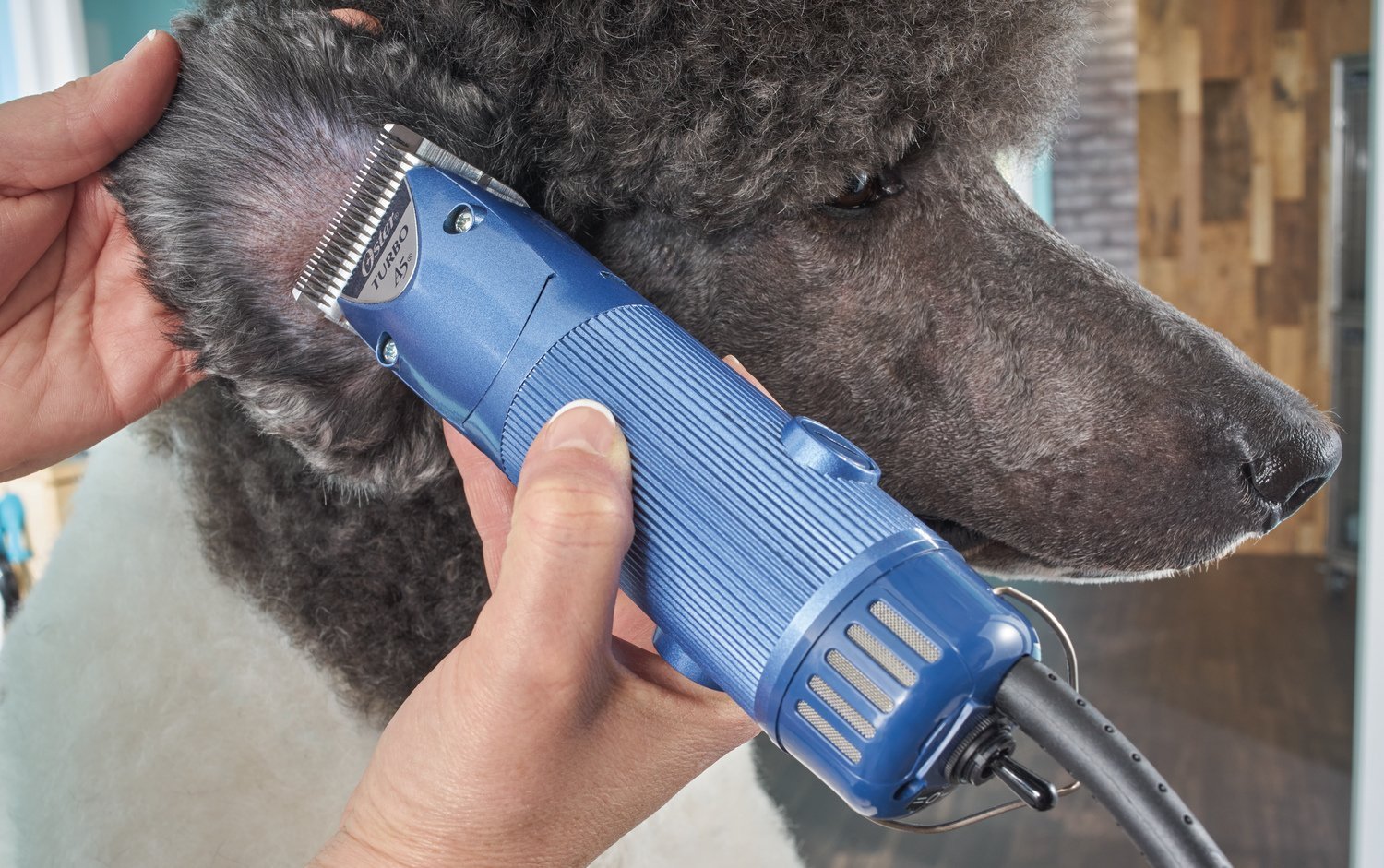 Dog Clippers The 6 Best Grooming Clippers in 2021