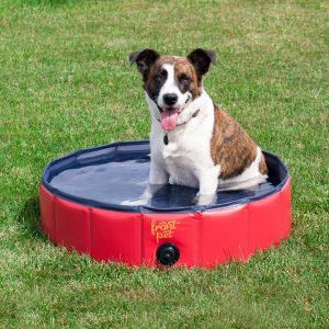 Frontpet Foldable Dog Pet Pool Bathing Tub