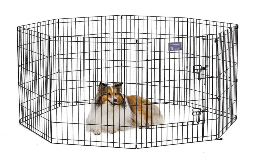 The 5 Best Dog Playpens and Pet Puppy Pens 2020