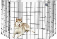 MidWest Exercise Pen