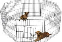 Oxgord Dog Animal Playpen Large Metal Wire Folding Exercise Yard Fence