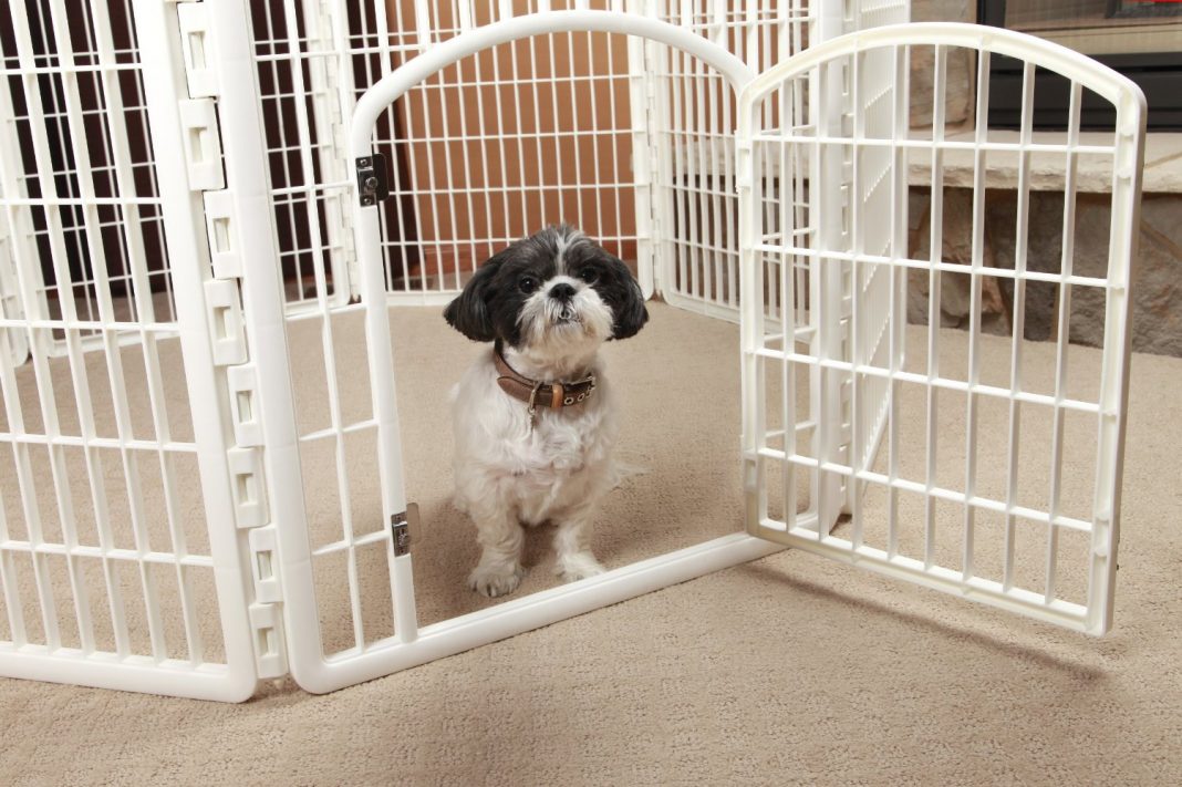 The 5 Best Dog Playpens and Pet Puppy Pens 2020