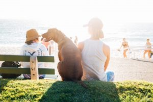 dog beach