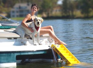 Paws Aboard Doggy Boat Ladder and Ramp