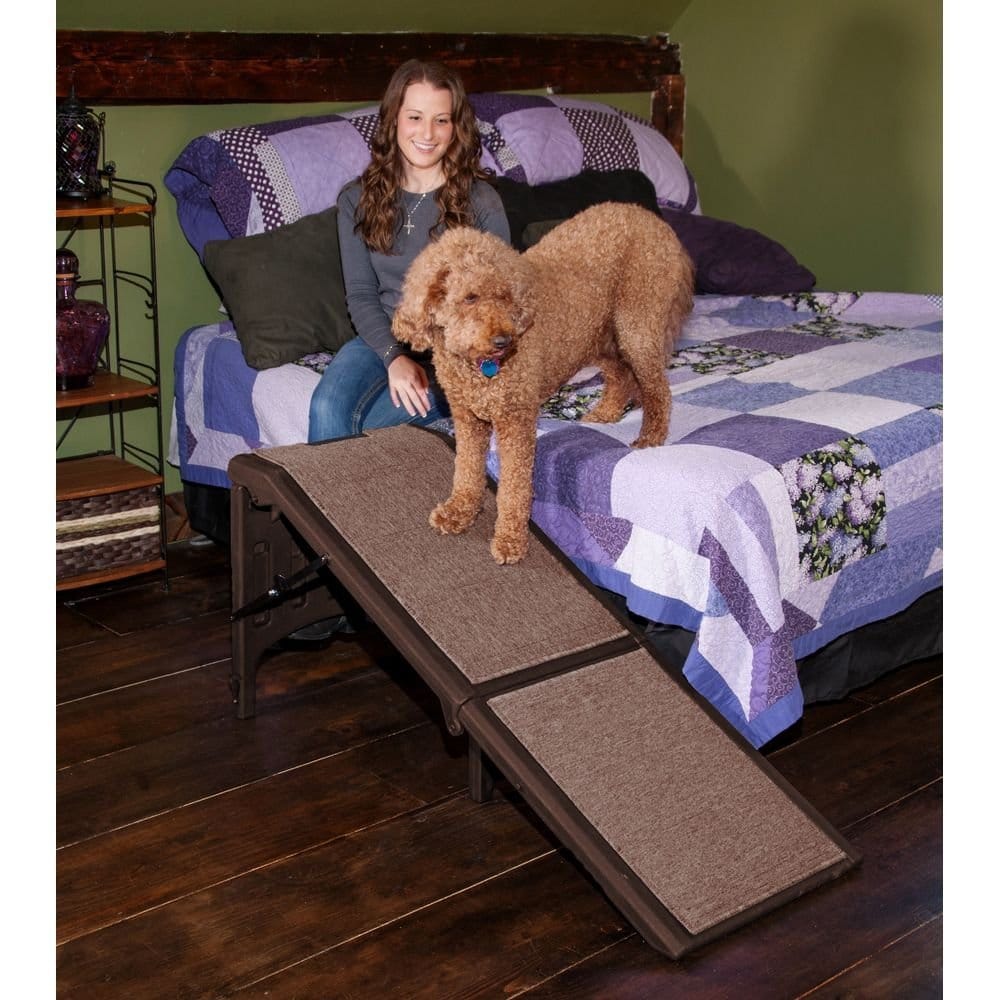 Dog Steps For Bed For Your Pet | 2021 Guide | Dogsrecommend