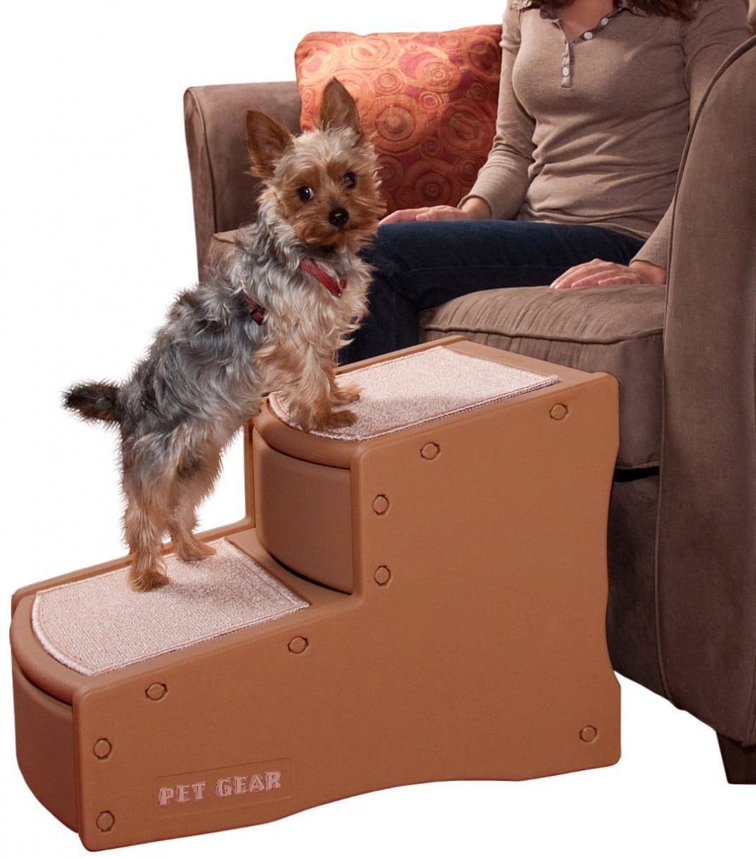 Dog Steps For Bed For Your Pet | 2021 Guide | Dogsrecommend