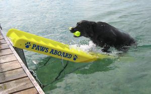 Paws Aboard Doggy Boat Ladder and Ramp