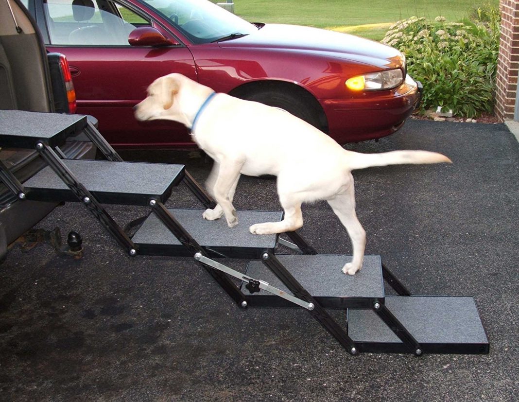 Top 5 Best Dog Steps For Cars in 2020
