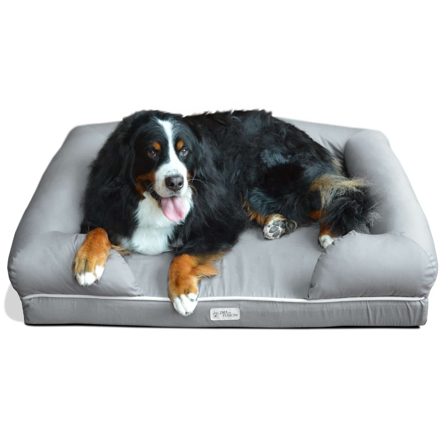 Dog Beds (January 2021 Review)