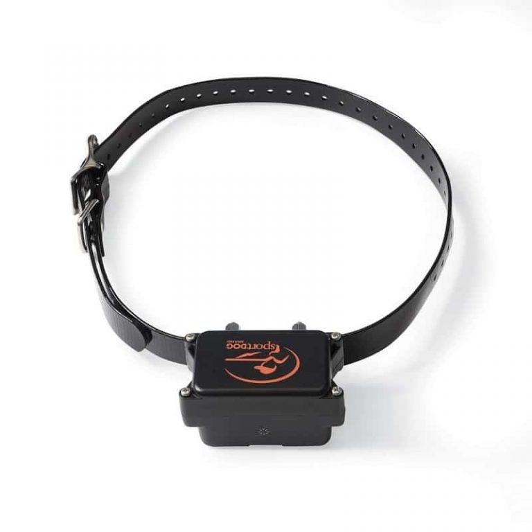 Invisible Dog Fences 2020 Ultimate Guide