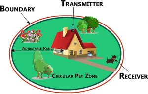 Scheme of Invisible Dog Fence Work