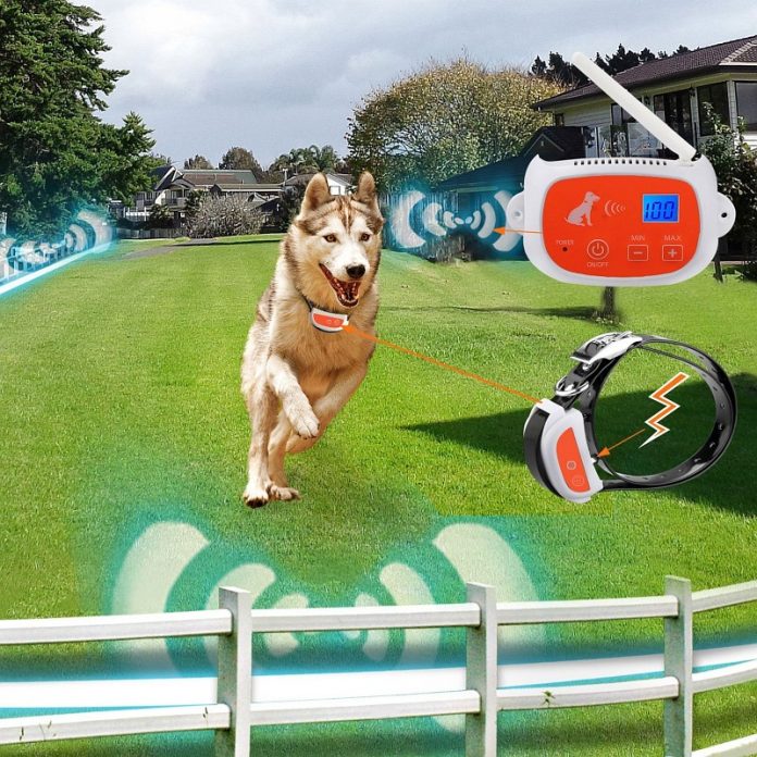 Invisible Dog Fences 2020 Ultimate Guide