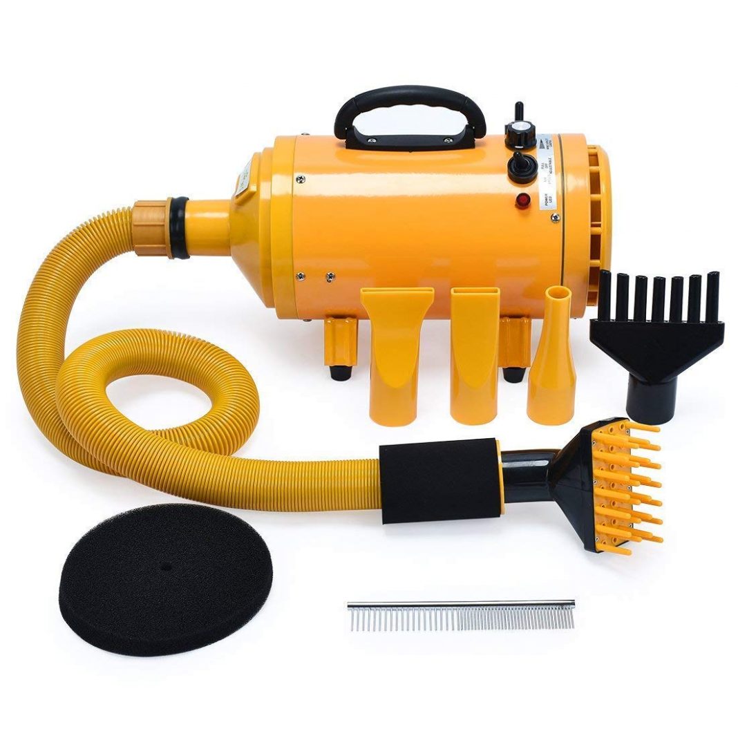 Dog Hair Dryer Best 2021 Grooming Hair Dryers Review