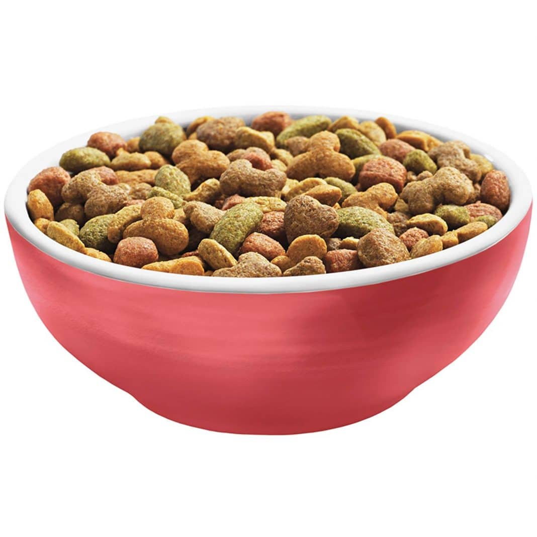 Dry Dog Foods for Labradors in (January 2021 Review)