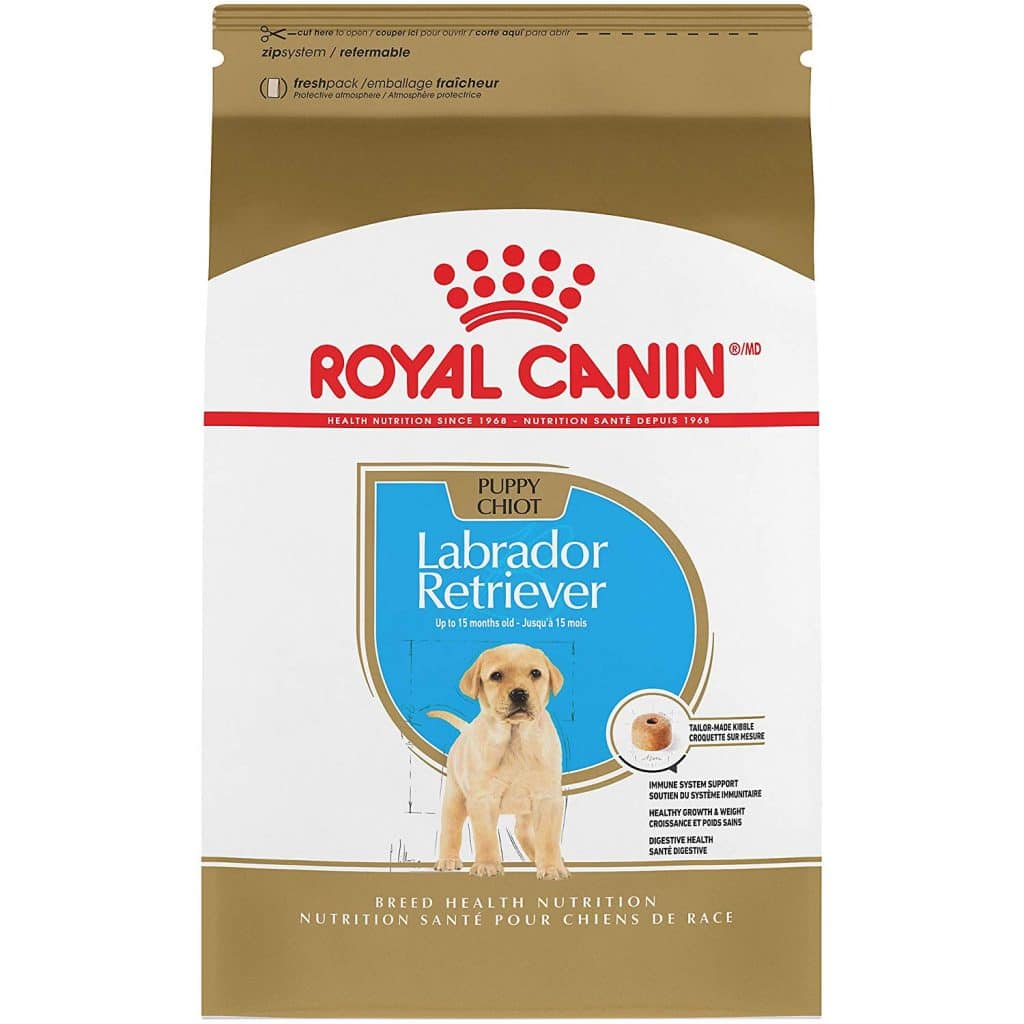 Dry Dog Foods for Labradors in (January 2021 Review) | Dogsrecommend