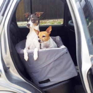 best dog booster seat