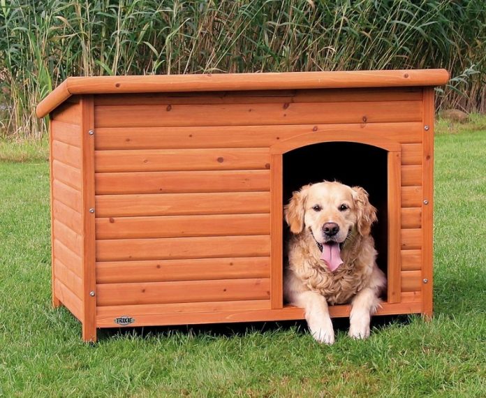 The 10 Best Dog House Heaters in 2020