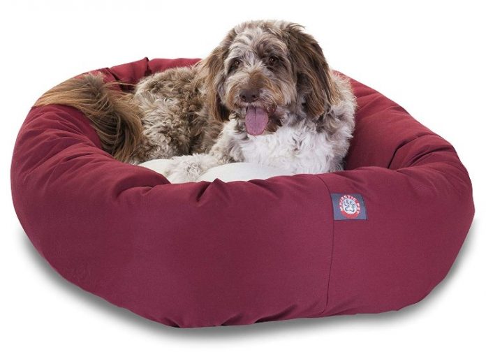 Best Heated Dog Beds (January 2021 Review)