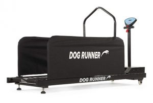 Dog Runner Large Treadmill