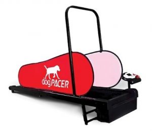 dogPACER LF 3.1 Dog Pacer Treadmill