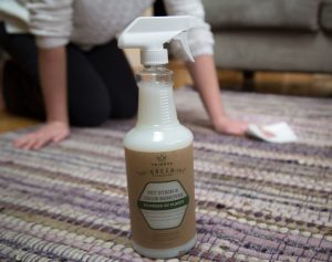 The 5 Best Pet Stain Removers In 2020, Best Pet Odor Remover For Hardwood Floors