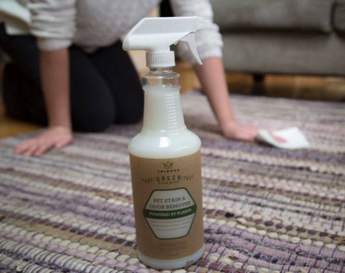 The 5 Best Pet Stain Removers in 2020