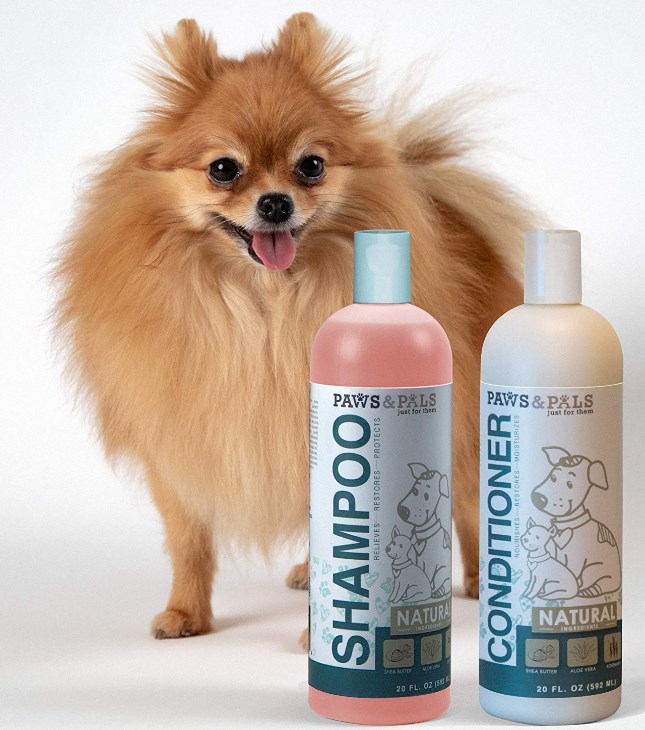 Dry Shampoo For Dogs The Best Shampoo For Pets