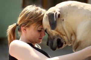 big dog Side Effects & Risks
