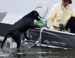 Dog Boat Boarding Ladder from water