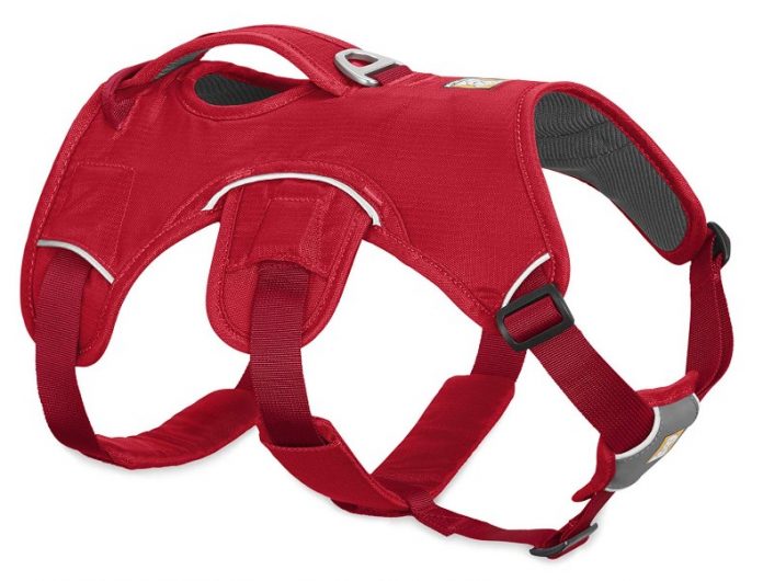 The The Best Dog Harness Nopull Harness For Pets