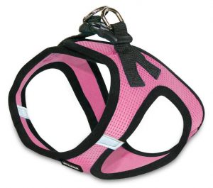 Voyager Step-In Air Dog Harness