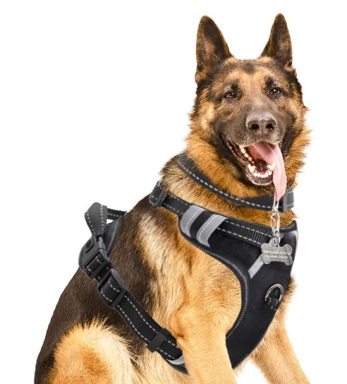 The The Best Dog Harness: No-pull Harness For Pets | Dogsrecommend