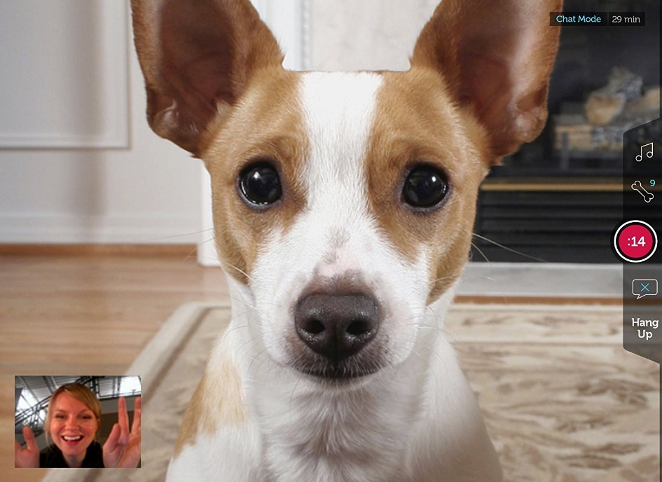 PetChatz HD and PawCall facetime for pet