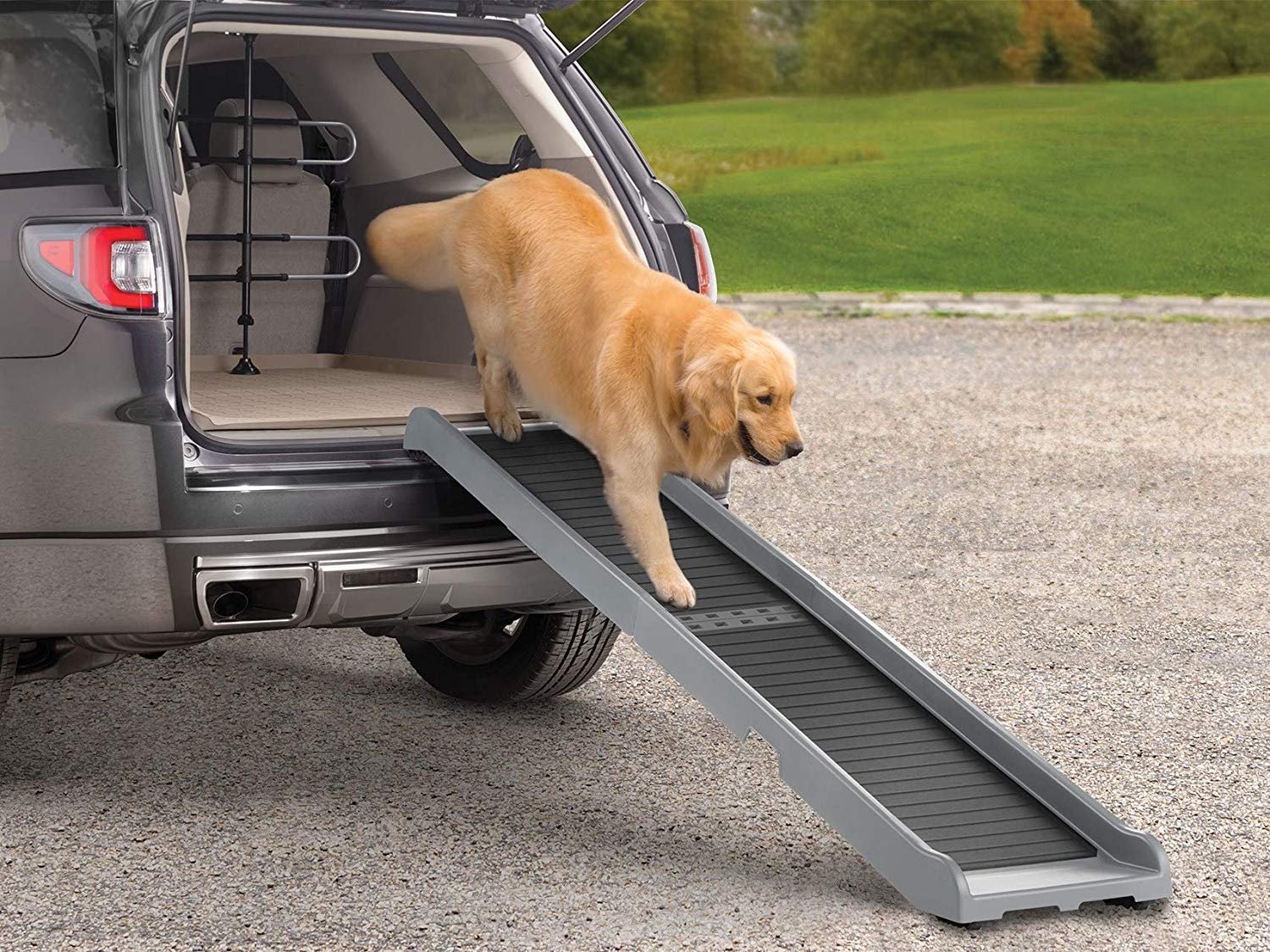 Top 5 Best Dog Steps For Cars in 2020