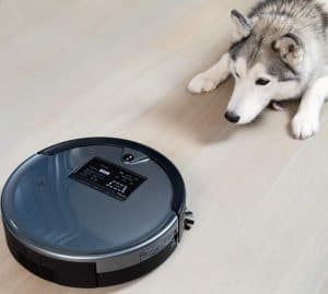 Dog Looking On The Automatic Vacuum Cleaner