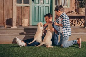 Happy Family With Two Dogs