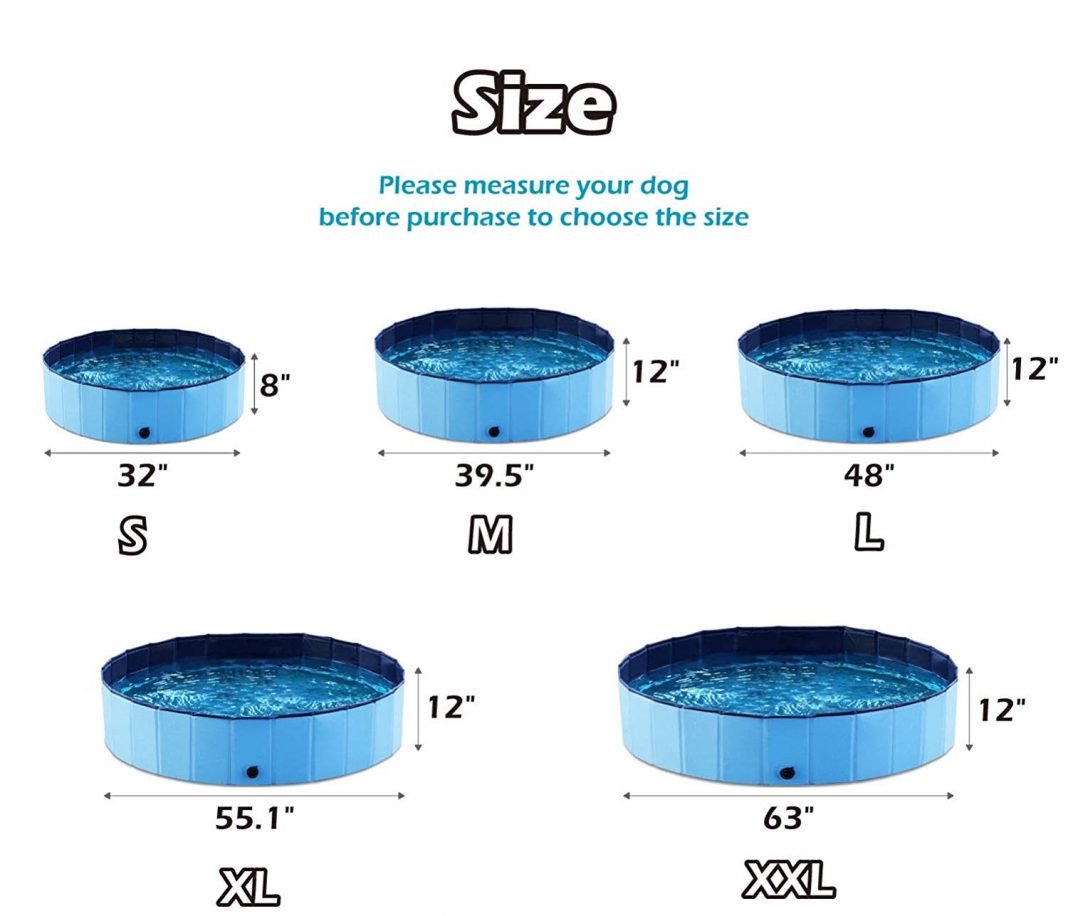 Best Swimming Pools For Dogs of 2021 Top 4 Choises