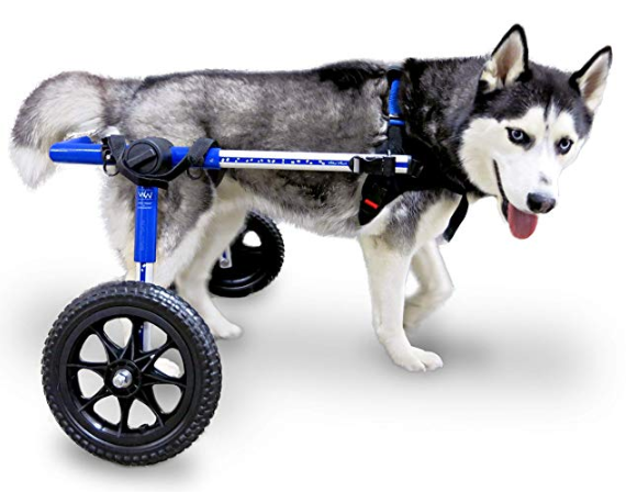 Dog Wheelchair: The Best Small & Large Wheelchair For Pets of 2020 ...