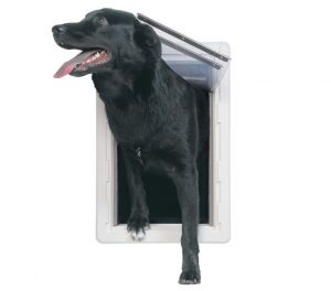 Best Electronic Dog Door Detailed Reviews And Purchase