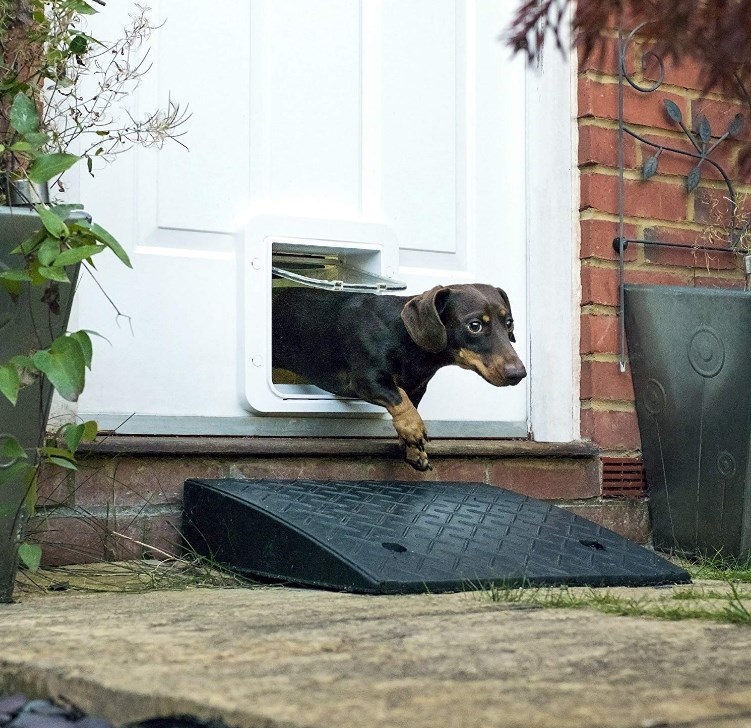 Best Electronic Dog Door Detailed Reviews And Purchase Guide