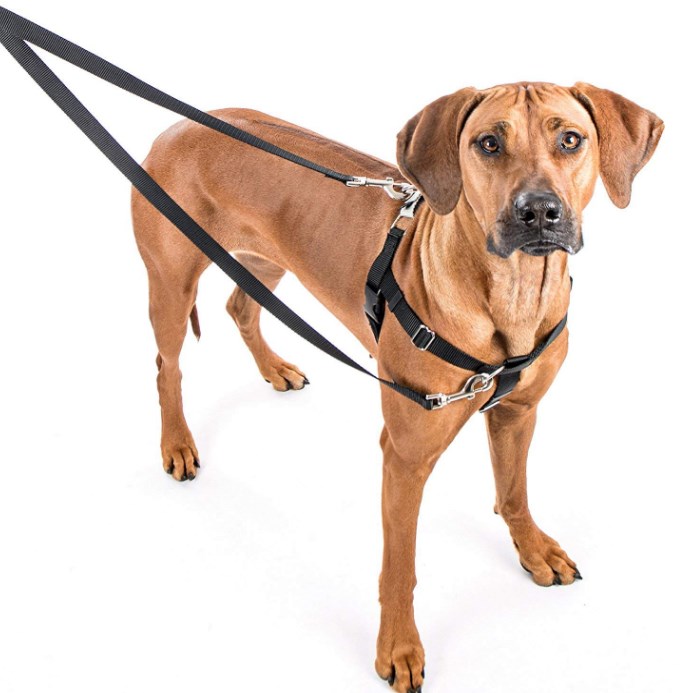 2 Hounds Design Freedom No-Pull Dog Harness with Leash